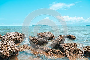 Landscape of beach and sea with reef rock beach