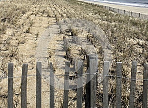 Landscape of the beach and shoreline of Rehoboth Beach, Delaware