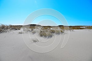 Landscape beach Sylt