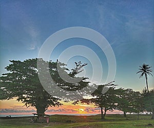 Landscape beach with trees at sunset looks very beautiful photo