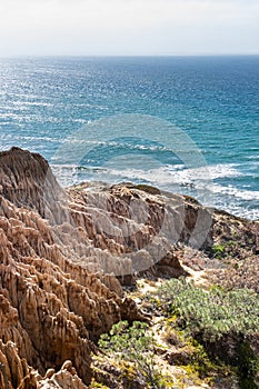 Landscape and beach view from Torrey Pines State Reserve and Beach in San Diego, California