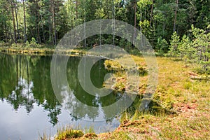 Landscape of beautiful bog lake with green forest and blue sky background