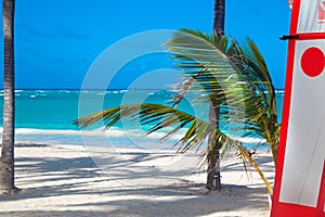 Landscape of a beautiful Caribbean tropical beach with surfing. Sand, palm trees and the sea of tropical island