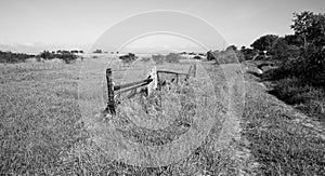 A landscape of a beautiful farmland