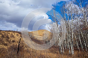 Landscape of the beautiful Glenbow Ranch Provincial Park in Alberta