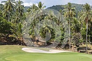 Landscape of a beautiful green golf course and coconut palm tree with sky, Thailand
