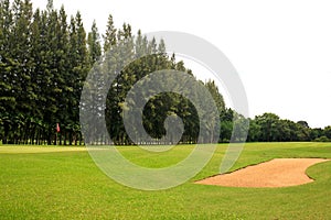 Landscape of a beautiful green golf course with sky