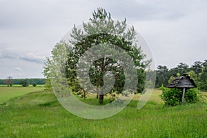 Landscape. Beautiful natural panoramic countryside landscape