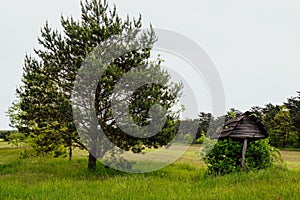 Landscape. Beautiful natural panoramic countryside landscape