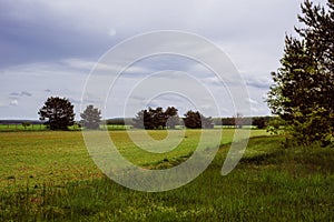 Landscape. Beautiful natural panoramic countryside landscape