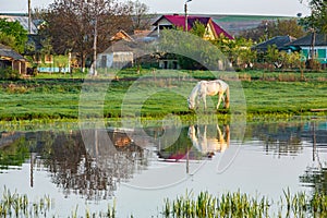 Landscape with beautiful nature in the village in the Republic of Moldova