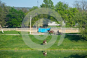 Landscape with beautiful nature in the village in the Republic of Moldova