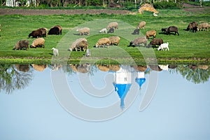 Landscape with beautiful nature in the village in the Republic of Moldova