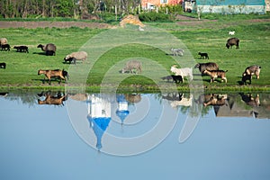 Landscape with beautiful nature in the village in the Republic of Moldova