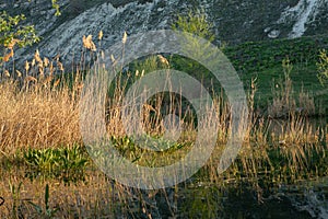 Landscape with beautiful nature in the village in the Republic of Moldova