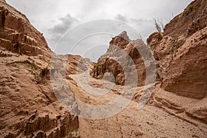 Landscape of beautiful sand dune