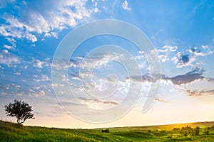 Landscape with a beautiful sky