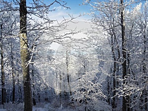 Landscape of beautiful snowy mountains in Slovakia 9