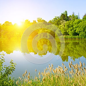 Landscape with a beautiful sunrise on a lake.