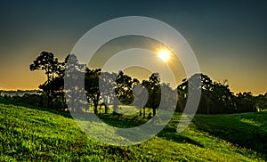 Landscape of beautiful sunset at the park with trees and green