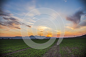 Landscape  at the sunset in the springtime