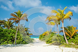 Landscape of the beautiful tropical beach with palm trees, ocean, sand at the island