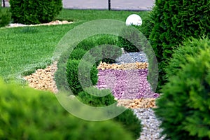 Landscape bed of park with ornamental growth evergreen bushes.