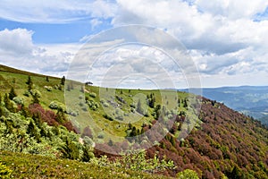 Landscape at Belchen summit. photo