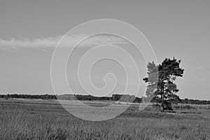 Landscape in Belgium in a nature reserve