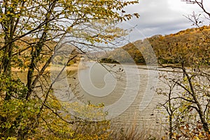 Landscape from Belgrad forest in istanbul