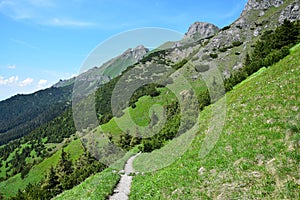 A landscape in the Belianske Tatry Slovakia