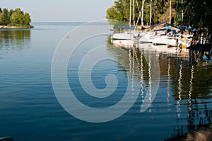 Landscape of berth with white boats on water with reflaction in front of trees in yachts club