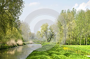 Landscape in the Betuwe region