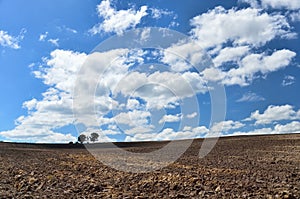 Landscape of Biei, Hokkaido.