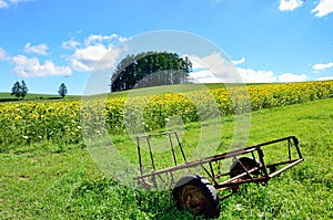 Landscape of Biei, Hokkaido.