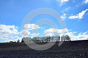 Landscape of Biei, Hokkaido.