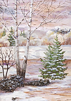 Landscape with a birch and fur-trees