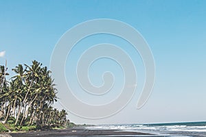 Landscape of black sand beach with beautiful palms. Bali island.
