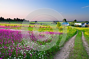 Landscape with a blossoming meadow, the road and a farm