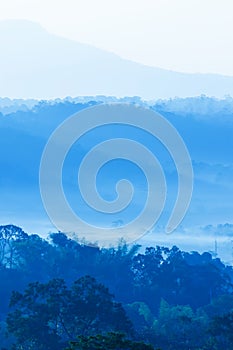 Landscape of blue mountain in the morning mist