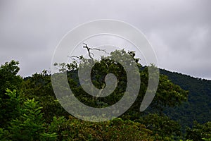 Landscape in the Blue Ridge Mountains, North Carolina