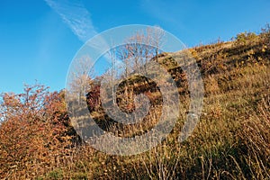 Landscape with blue sky and autumn trees and brush upon grassland hills.