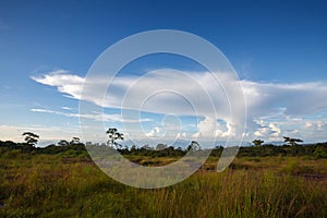 Landscape blue sky with cloud at Phu Hin Rong Kla National Park,