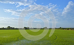 Landscape, blue sky, green fields, early morning concept. Use to design backgrounds and wallpapers