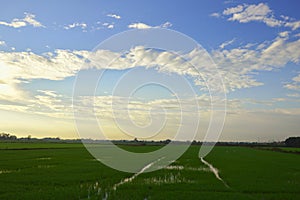 Landscape, blue sky, green fields, early morning concept. Use to design backgrounds and wallpapers