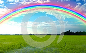 Landscape blue sky green fields There is a curved rainbow of colors. Morning Ideas. Used to design backgrounds and wallpapers