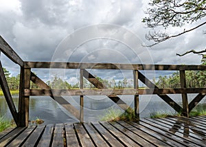 Landscape from the bog, bog after rain, wet wooden footbridges in wet bog, dark storm clouds, traditional bog vegetation, heather