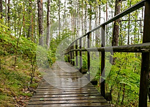 Landscape from the bog, bog after rain, wet wooden footbridges in wet bog, dark storm clouds, traditional bog vegetation, heather