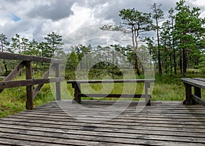 Landscape from the bog, bog after rain, wet wooden footbridges in wet bog, dark storm clouds, traditional bog vegetation, heather