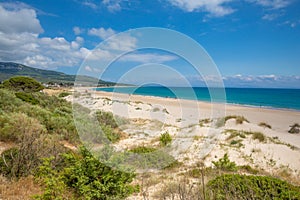 Landscape of Bolonia Beach in Cadiz from the forest